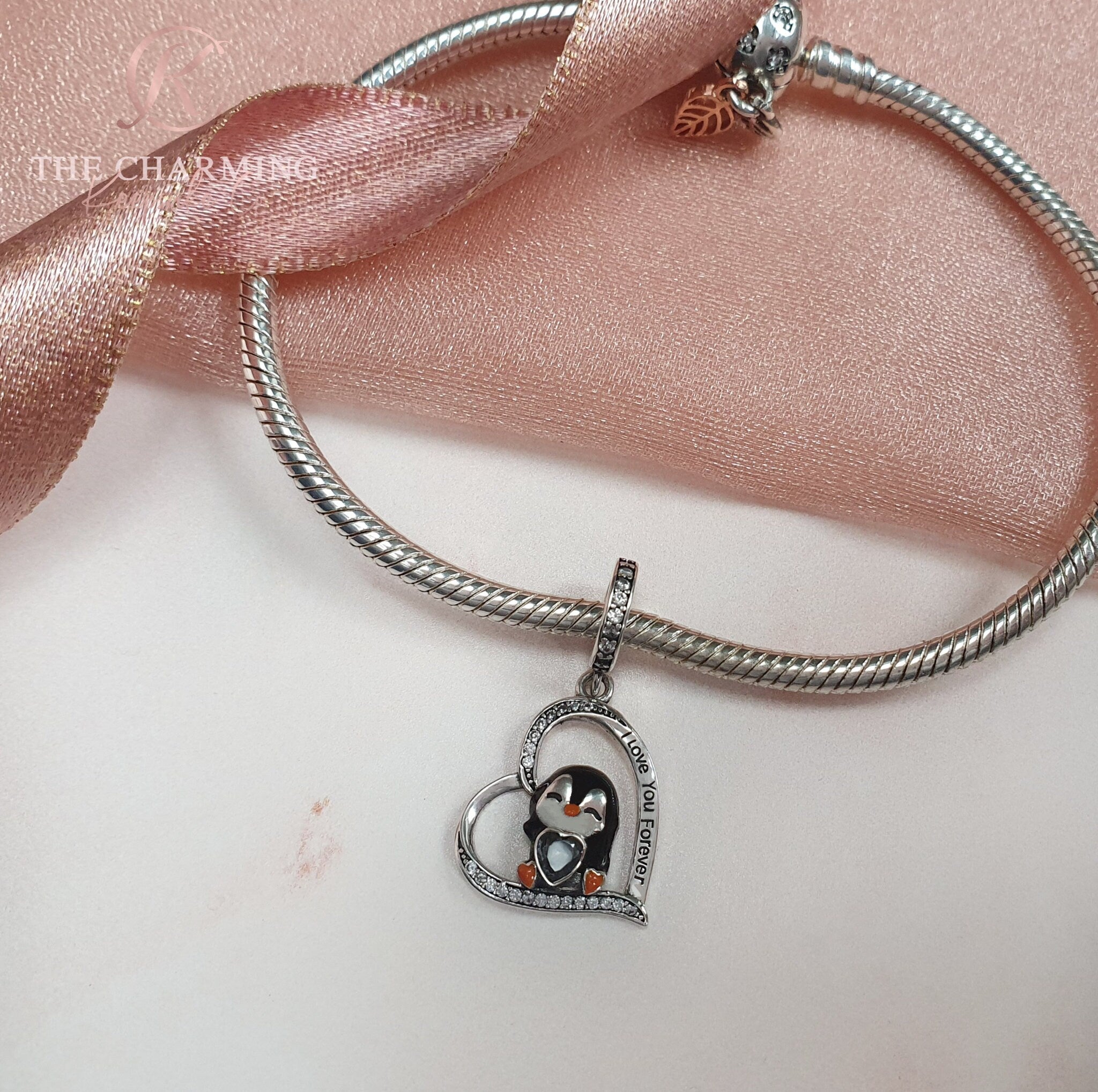 Pandora charm deals bracelet for girlfriend