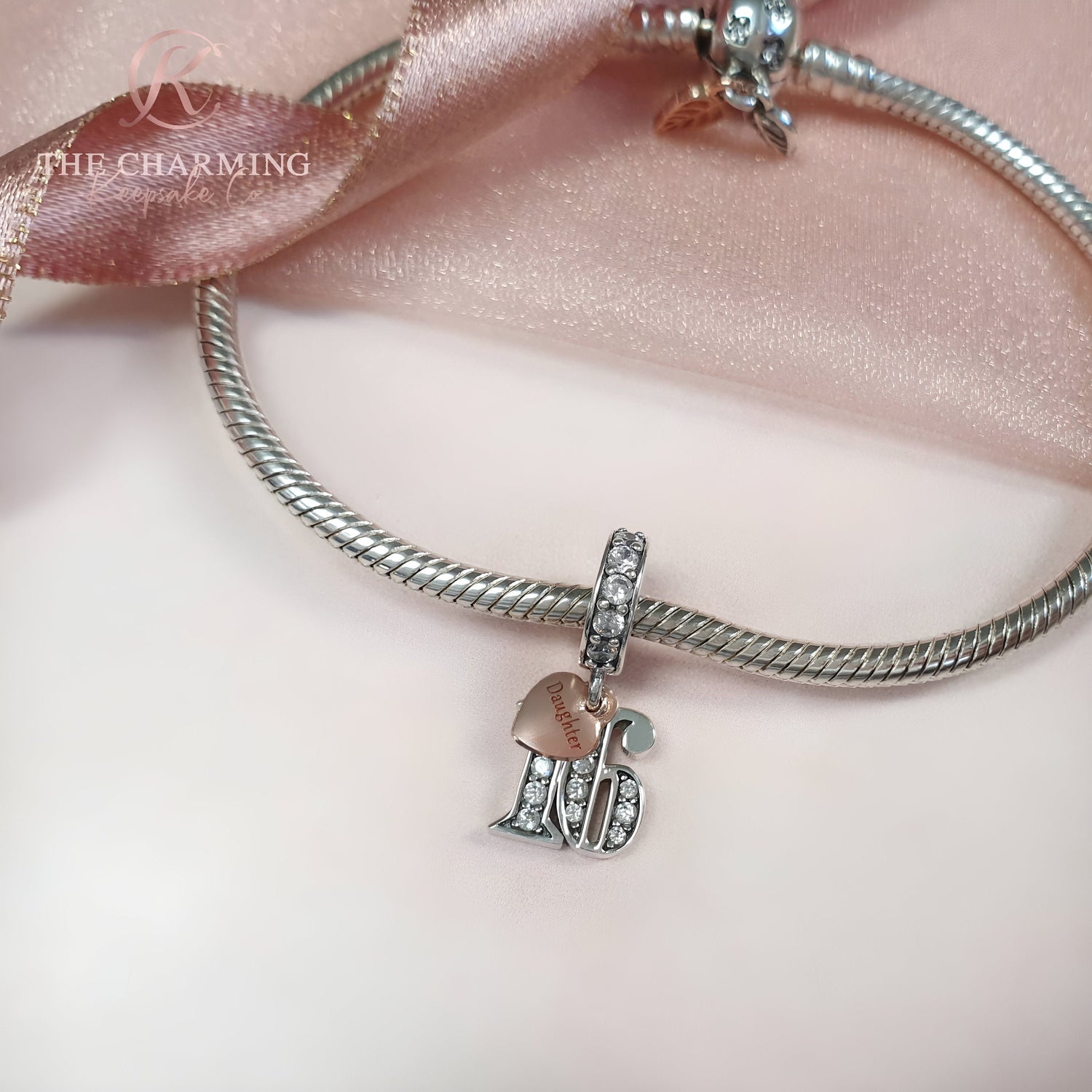 Bracelet Necklace Pandora Grandson Charm 16th Birthday Daughter